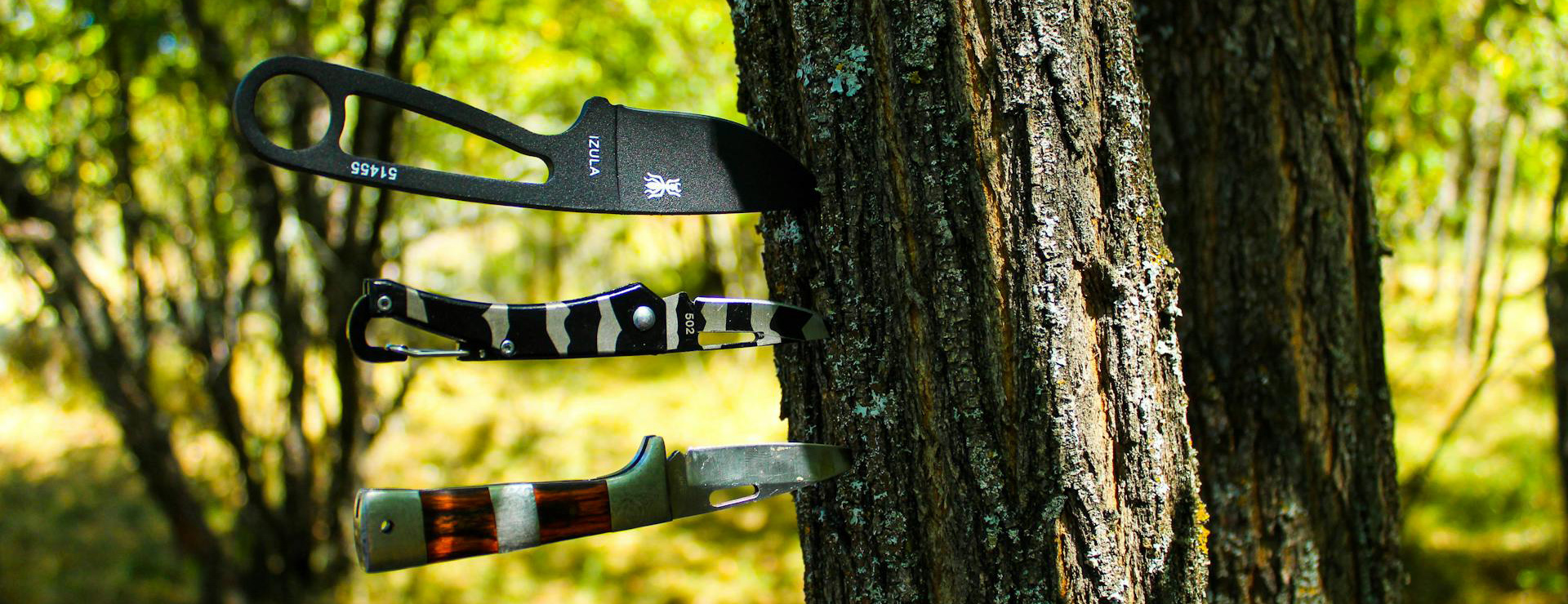 Knife Shop -Knife Shop pexels aleksandar djordjevic 109766345 9860774